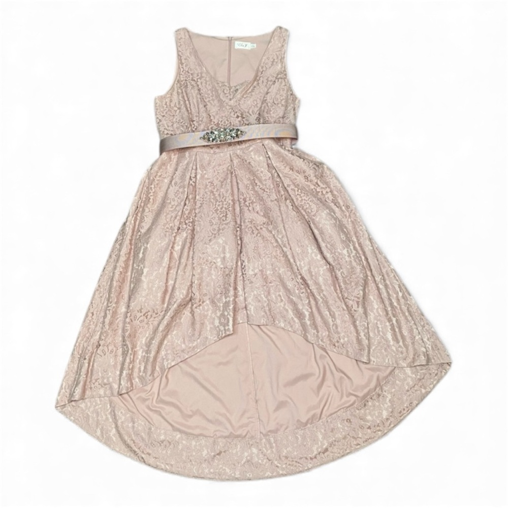 Eliza J Blush Pink Lace Rhinestones Hi/ Low Dress Women’s Size 16 - Homecoming